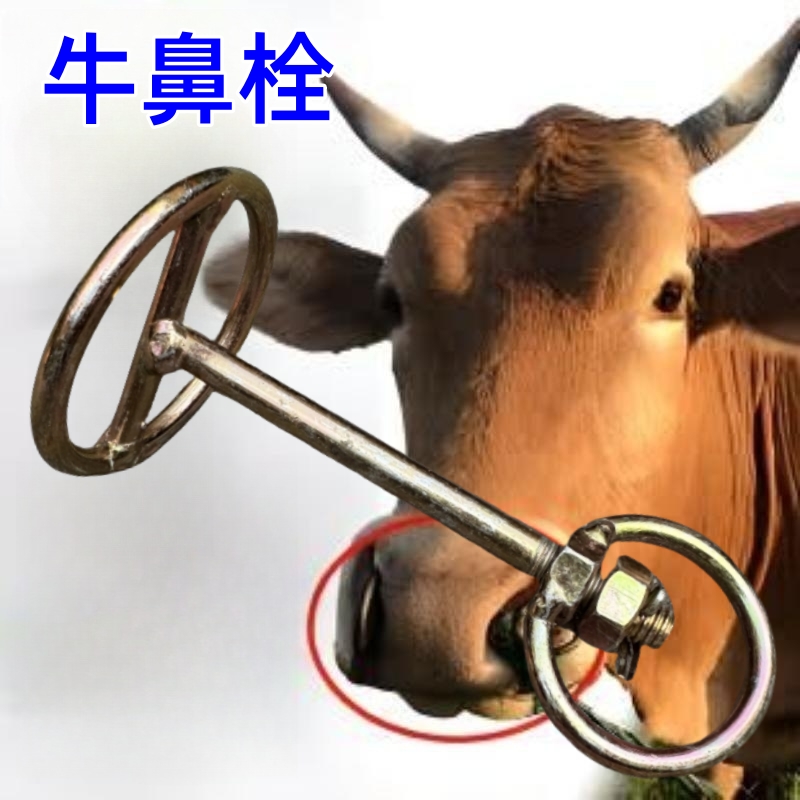 牛鼻栓大号小号不锈钢牛鼻环