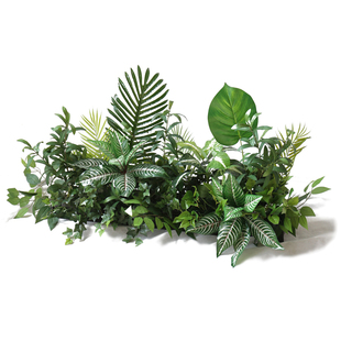 热带绿植叶排花仿真路引龟背散尾花槽箱售楼部商业街盆栽店铺装 饰