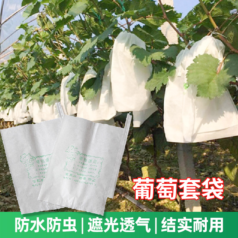 葡萄套袋专用纸袋水果袋防虫防鸟果树苹果柚子芒果桃子阳光玫瑰
