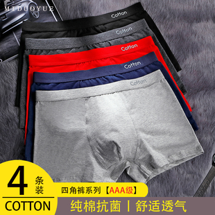 米多玥男士内裤纯棉2025年新款平角裤大码宽松透气男士头四角短裤