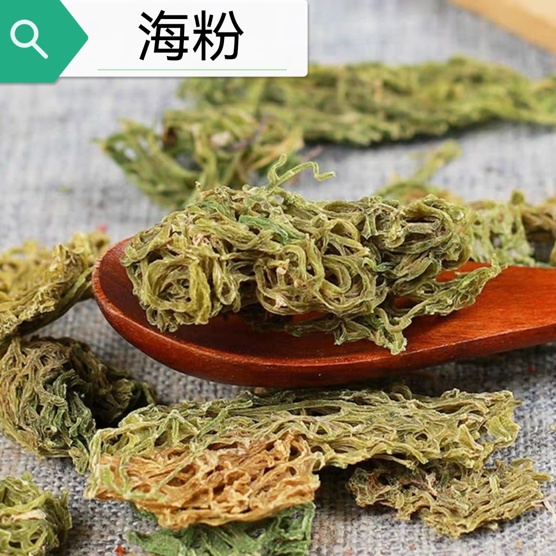 海粉中药材10克海粉海粉丝 海兔 海挂面红海粉新货干货正品保证