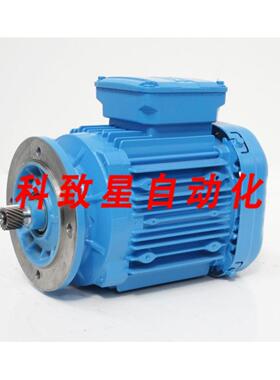 工业配件DRM90M12FGTF电机 50HZ 400690V 051029A 500RPM