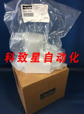 工业配件CASY-3655流量控制器