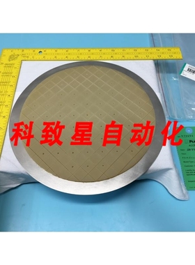 工业配件SPEEDFAM 2805-727003 BACKING POLISH PAD ASSEMBLY 124