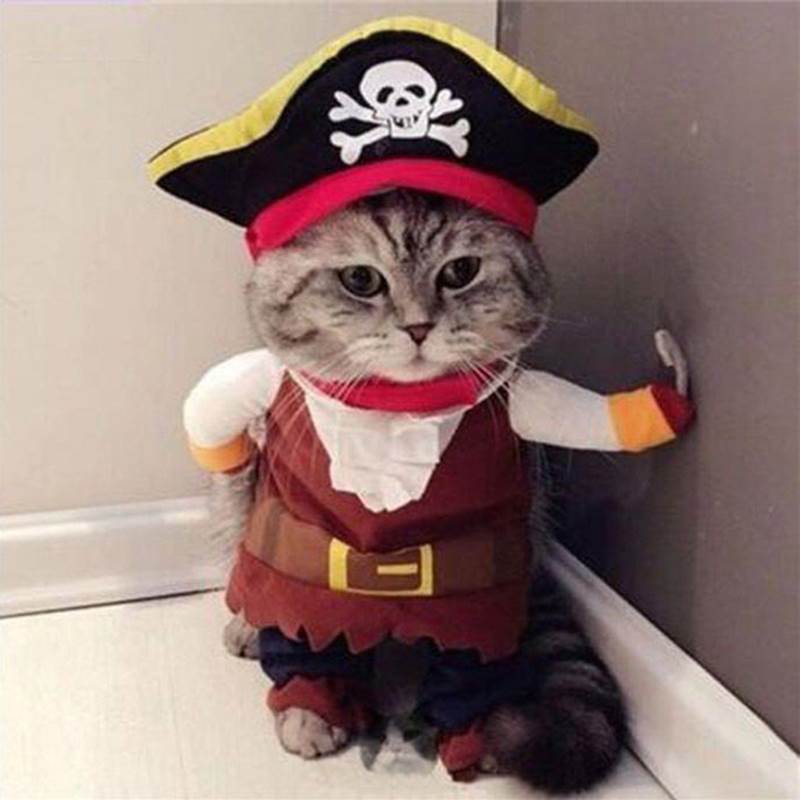 New Arrival Funny Pet Clothes Cosplay Pirate Dog Cat Hallowe