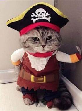 New Arrival Funny Pet Clothes Cosplay Pirate Dog Cat Hallowe