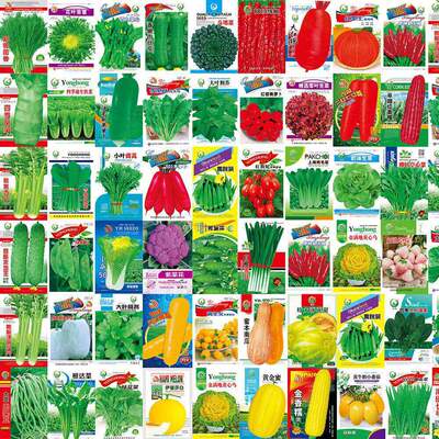 Vegetable seeds, balcony greenhouse, rapeseed, cucumber, le