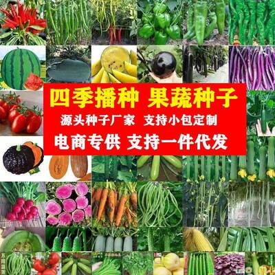 Complete list of vegetable seeds for indoor and outdoor bal
