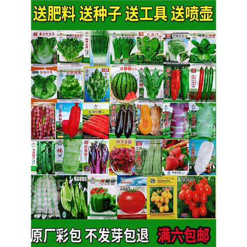 Vegetable seed sowing balcony farmhouse courtyard potted le
