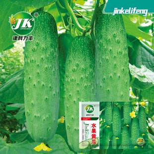 Fruit, cucumber seeds, sweet and crispy, dry cucumber seeds