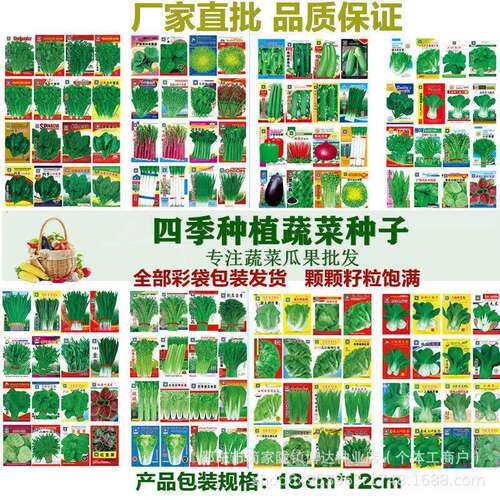 Complete list of seasonal vegetable seeds, wholesale,恤3