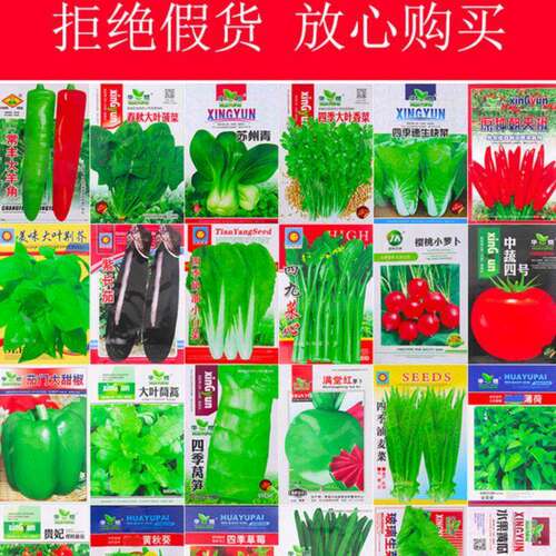 Vegetable seeds sown throughout the year, potted plants, ba