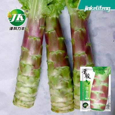 Red hanging silk, red asparagus seeds, seasonal vegetables,