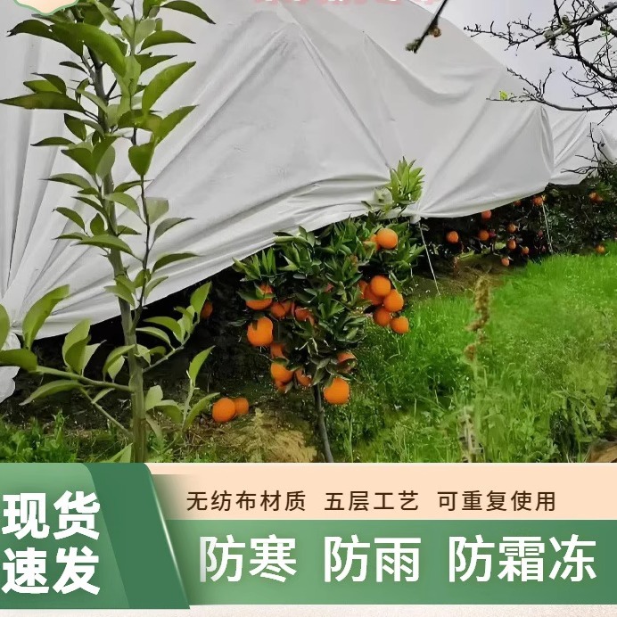 农用加厚保温防寒布果树农用防