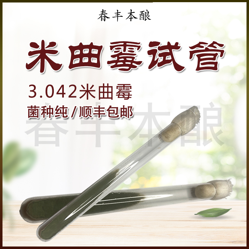 试管标准斜面米曲霉米曲霉菌株 检验培养菌种 顺丰包邮 全国发货