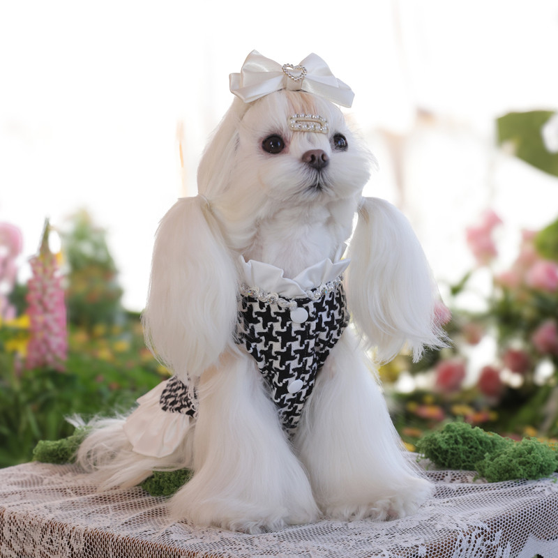 汪喵宠物衣服夏季新款小香风连身裙泰迪比熊狗狗猫咪宠物裙子
