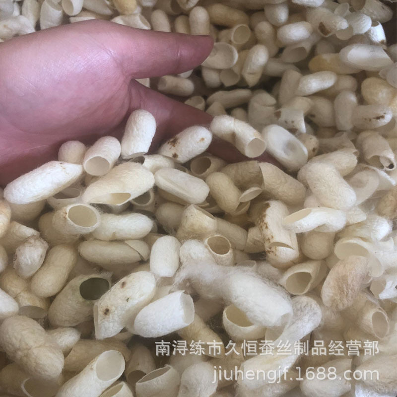 桑蚕茧壳黄斑茧壳削口茧蚕丝被茧子厂家直销优质填充双宫茧一等品
