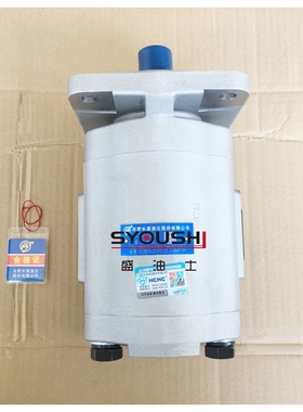 合肥长源齿轮泵CBG2100-BLP/BLPL/BLH/BLHL/BFP/BFPL/BFH/BFHL