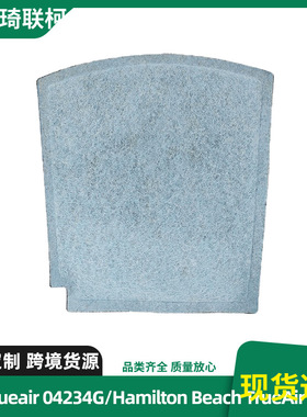 适用Trueair 04234G空气过滤器滤网Hamilton Beach TrueAir 04384