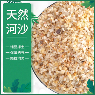 河沙天然粗水晶沙多肉铺面石子营养土种花养花专用乌龟鱼缸颗粒砂