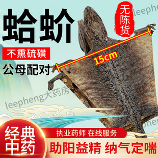 吉明丰蛤 蚧中药材一对大蛤蚧干货泡酒煲汤定喘药官方旗舰店正品