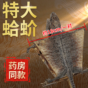 蚧蛤干货大定喘一对蚧蛤粉药材补肺益肾大壁虎干哈蚧泡酒蛤芥中药