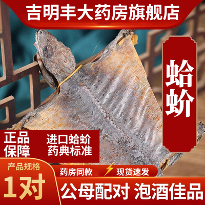实测约15-18cm进口大蛤蚧