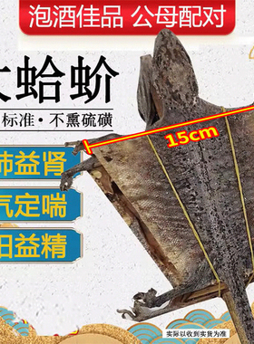 蛤 蚧干货一对一公一母大蛤蚧中药材泡酒煲汤定喘官方旗舰店正品