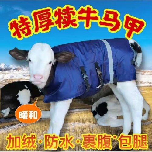 牛犊马甲犊牛马甲保暖外套加大防风牛犊衣服小牛防寒外套小牛器械