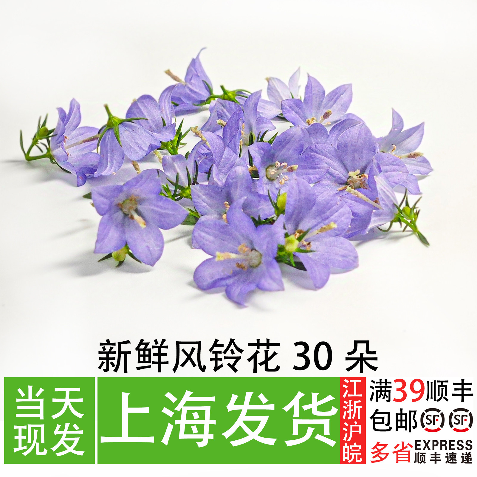 新鲜风铃花30朵餐厅蛋糕装饰点缀小花美食餐盘摆盘造型花草,水产肉类/新鲜蔬果/熟食,其它,淘宝优惠券,粉丝福利购,淘宝优惠卷