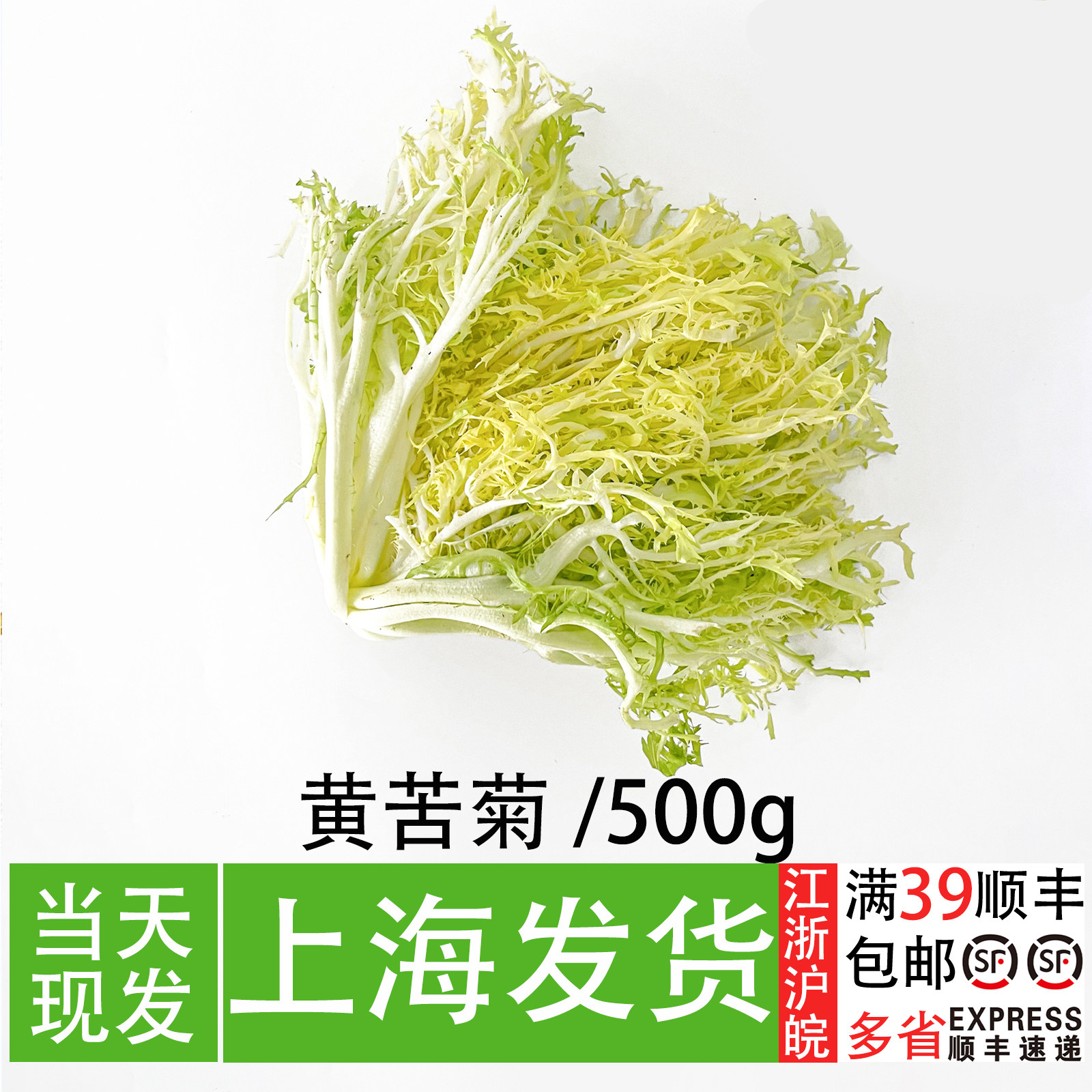 新鲜黄苦菊 西餐厅即食沙拉配菜  嫩狗牙菊苣生菜可食用黄心苦菊