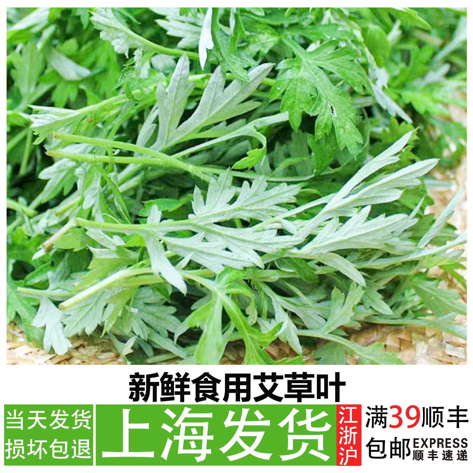 艾草新鲜当季食用蔬菜艾蒿糍粑青团嫩艾叶农家清明草艾草叶