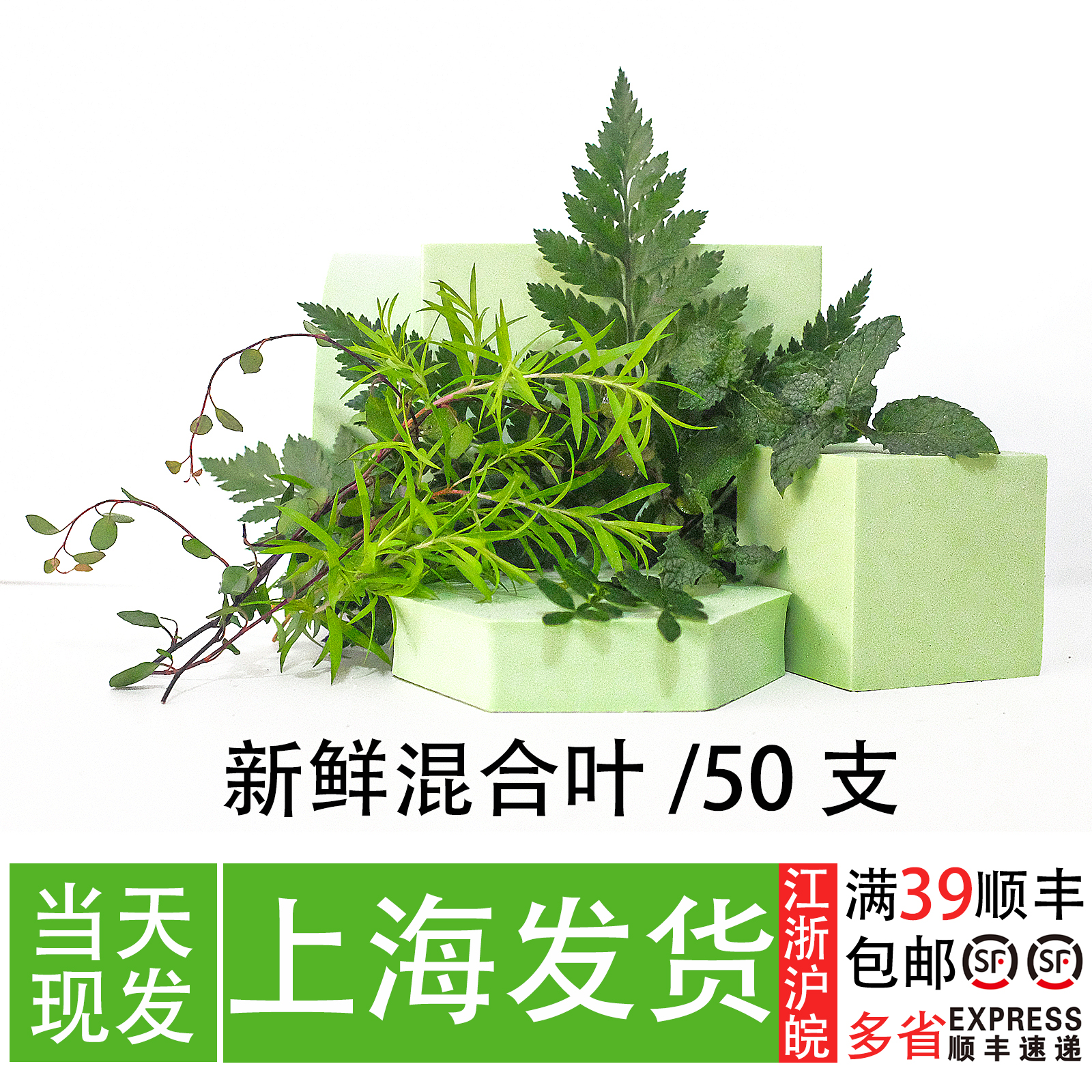 新鲜混合叶子 胡椒木薄荷头高山羊齿叶 上海餐厅摆盘蛋糕装饰植物