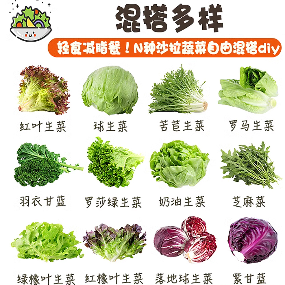 沙拉蔬菜混搭新鲜混合蔬果生菜色拉健身轻食套餐西餐沙拉食材