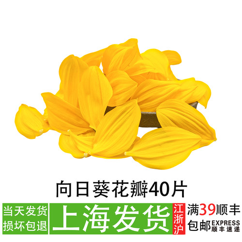 向日葵花瓣40片餐饮摆盘装饰花草