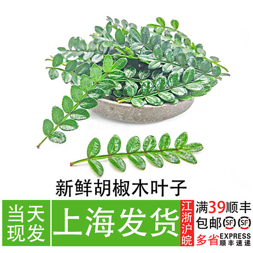 包邮胡椒木叶子甜品蛋糕装饰点缀