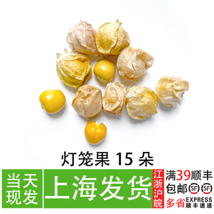 新鲜灯笼果 姑娘果15粒 可食用 酒店餐厅冷盘沙拉摆盘装饰