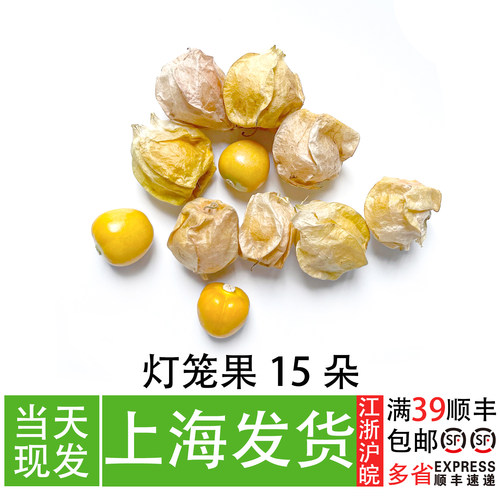 灯笼果可食用餐厅酒店冷盘装饰