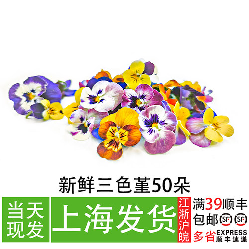 新鲜三色堇餐厅摆盘烘焙装饰花草