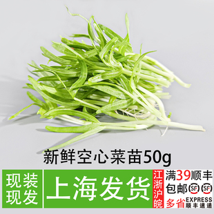 新鲜空心菜苗50g水培素食芽苗菜 轻食沙拉配菜特色冷菜嫩苗不带根