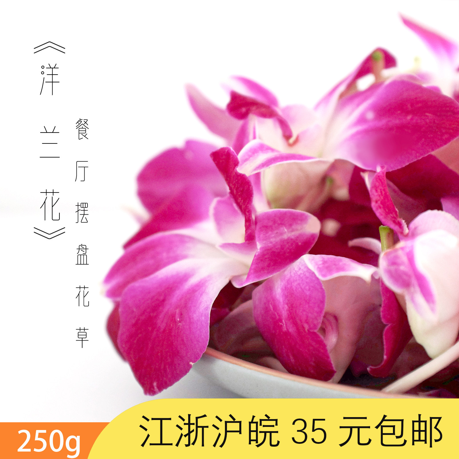 新鲜洋兰花朵 泰国兰花  摆盘花草 酒店私房菜西餐厨师搭配花草