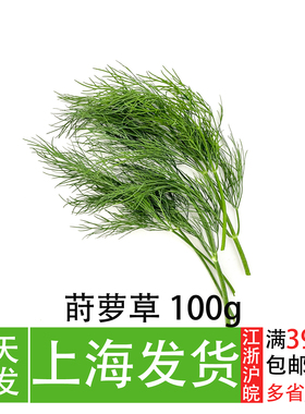 新鲜莳萝草Dill刁草 西餐厅调味可食用香料