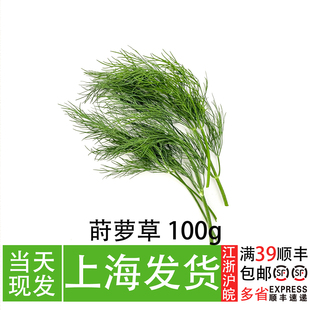 新鲜莳萝草Dill刁草 西餐厅调味可食用香料
