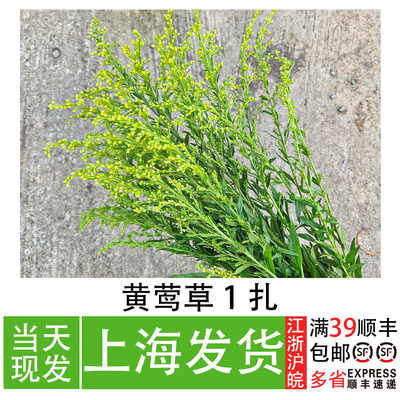 黄莺草刺身三文鱼创意造型装饰