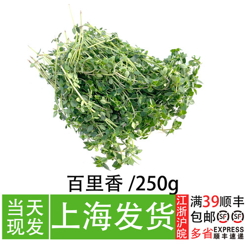 新鲜百里香煎牛排香料可食用