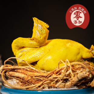 五指毛桃鸡河源特产广东客家梅州盐焗鸡手撕窑鸡烤鸡即食熟食