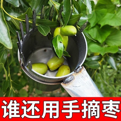 摘酸枣神器新款摘野枣机手动农用摘果器防扎手摘山果山枣杨梅工具