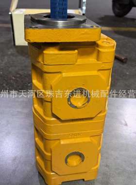 CBNL F550/F550-CTHL齿轮泵 两联