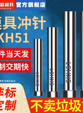 模具冲针SKH51冲头高速钢加硬T冲不锈钢冲针五金模具冲孔非标定制