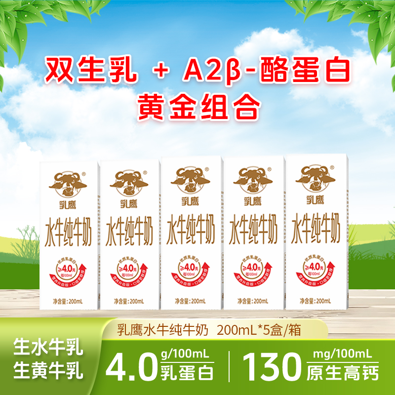乳鹰纯牛奶学生儿童早餐奶200ml